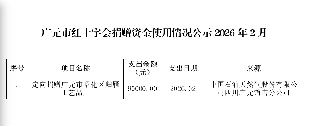 捐赠使用公示2月.png
