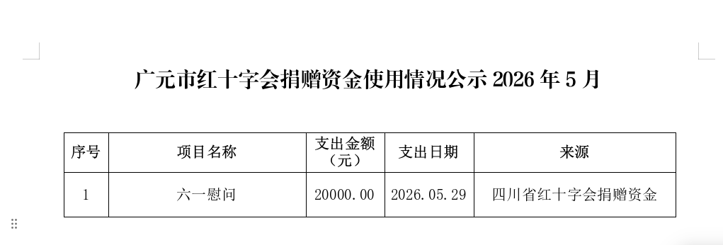 5月支出.png